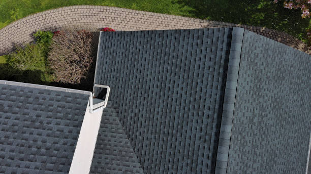 Best Sheet Metal Roofing  in Dassel, MN